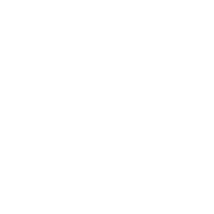 white equal housing opportunity logo transparent